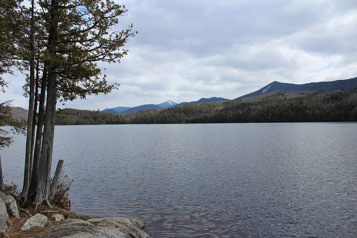 MoosePond near Saranac Lake